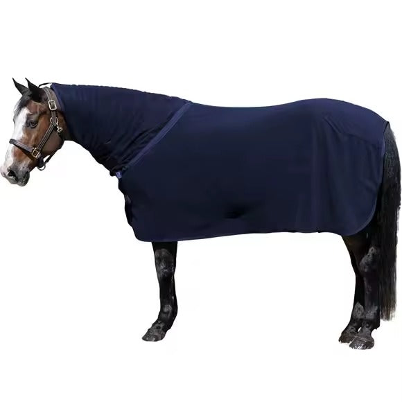 Horse wearing a navy blue rug on a white background